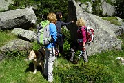 Al Rif. Ponti (2559 m), il rifugio del Disgrazia, dalla Valle di Preda Rossa il 23 giugno 2015 - FOTOGALLERY